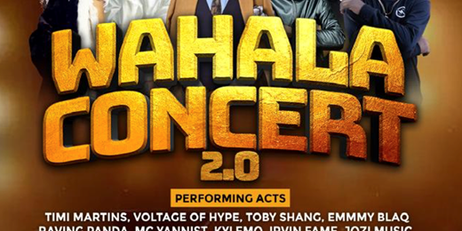 Wahala Concert 2.0